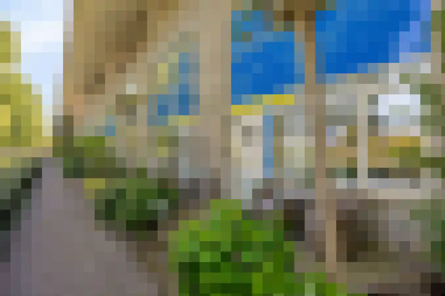 Florazoom 22 Zoetermeer thumbnail 53