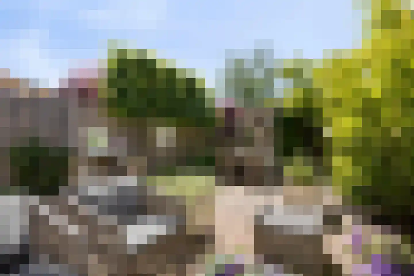 Florazoom 22 Zoetermeer thumbnail 56