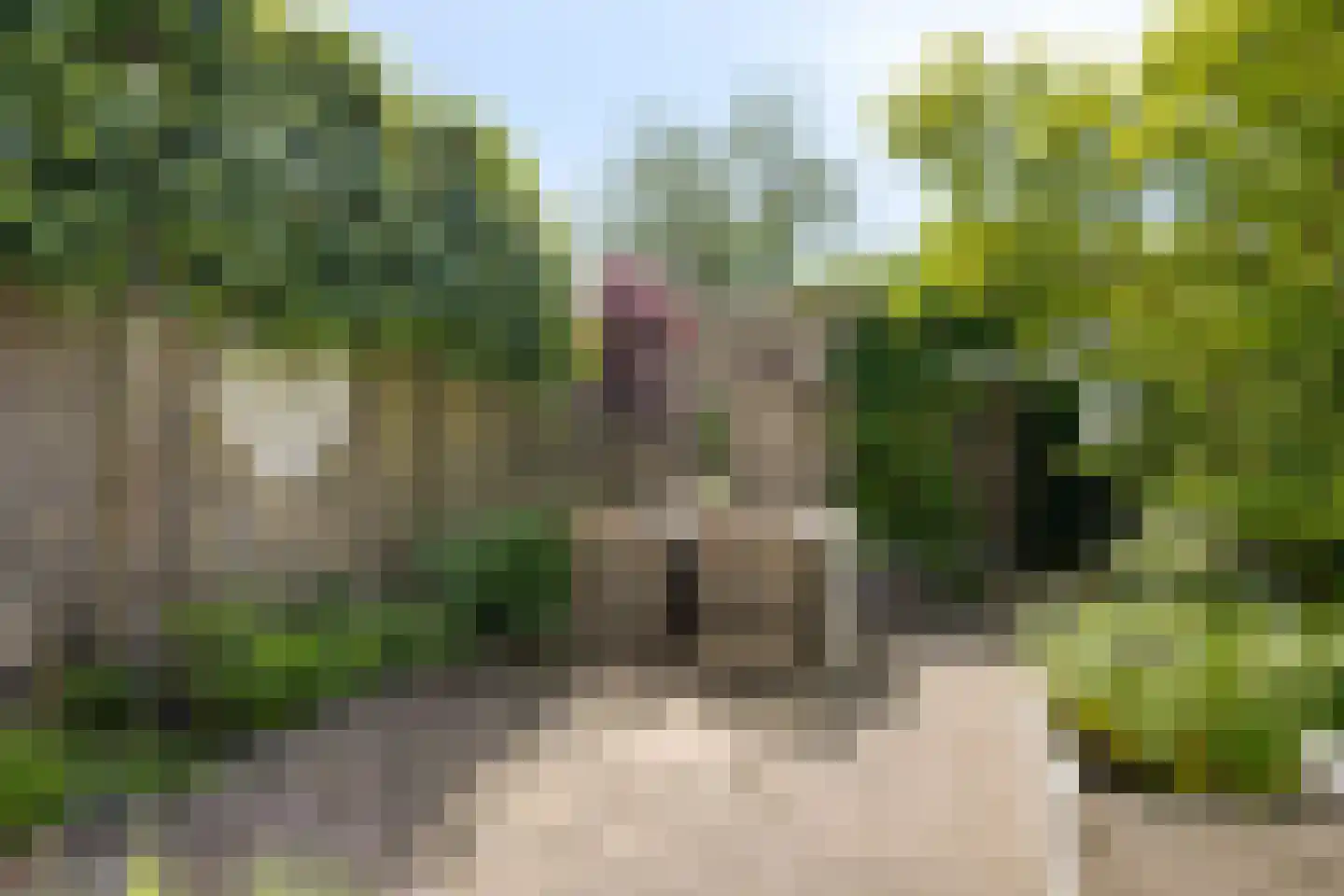 Florazoom 22 Zoetermeer thumbnail 57