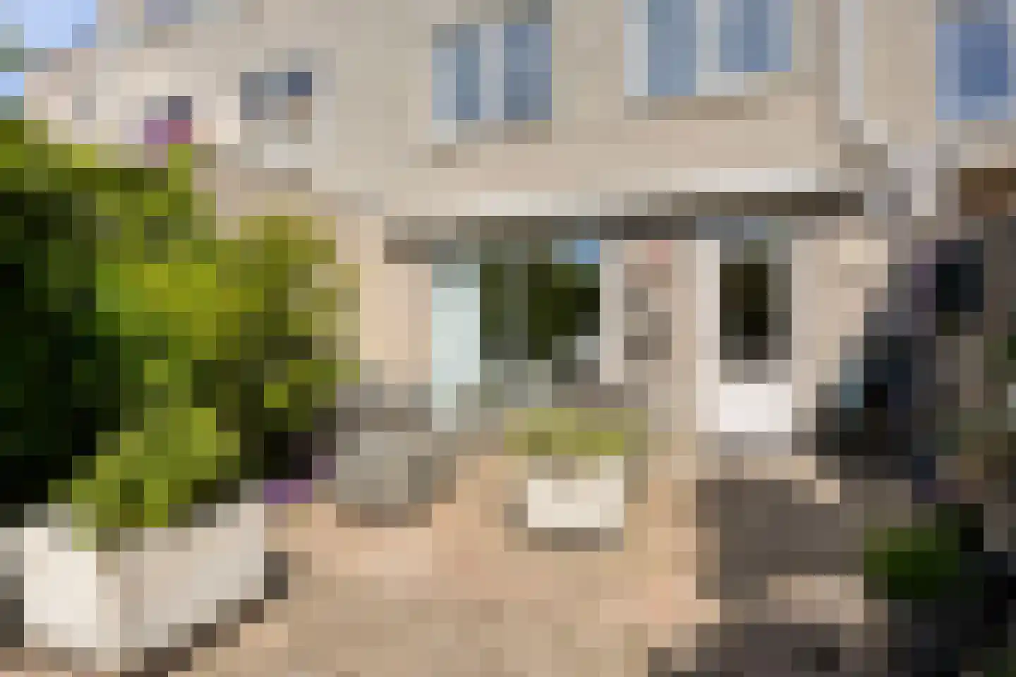 Florazoom 22 Zoetermeer thumbnail 58