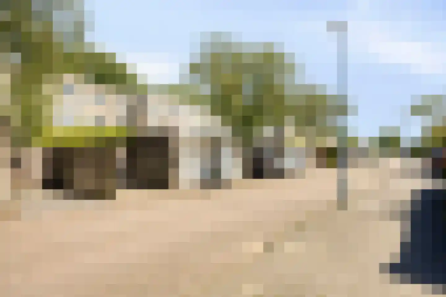 Florazoom 22 Zoetermeer thumbnail 59