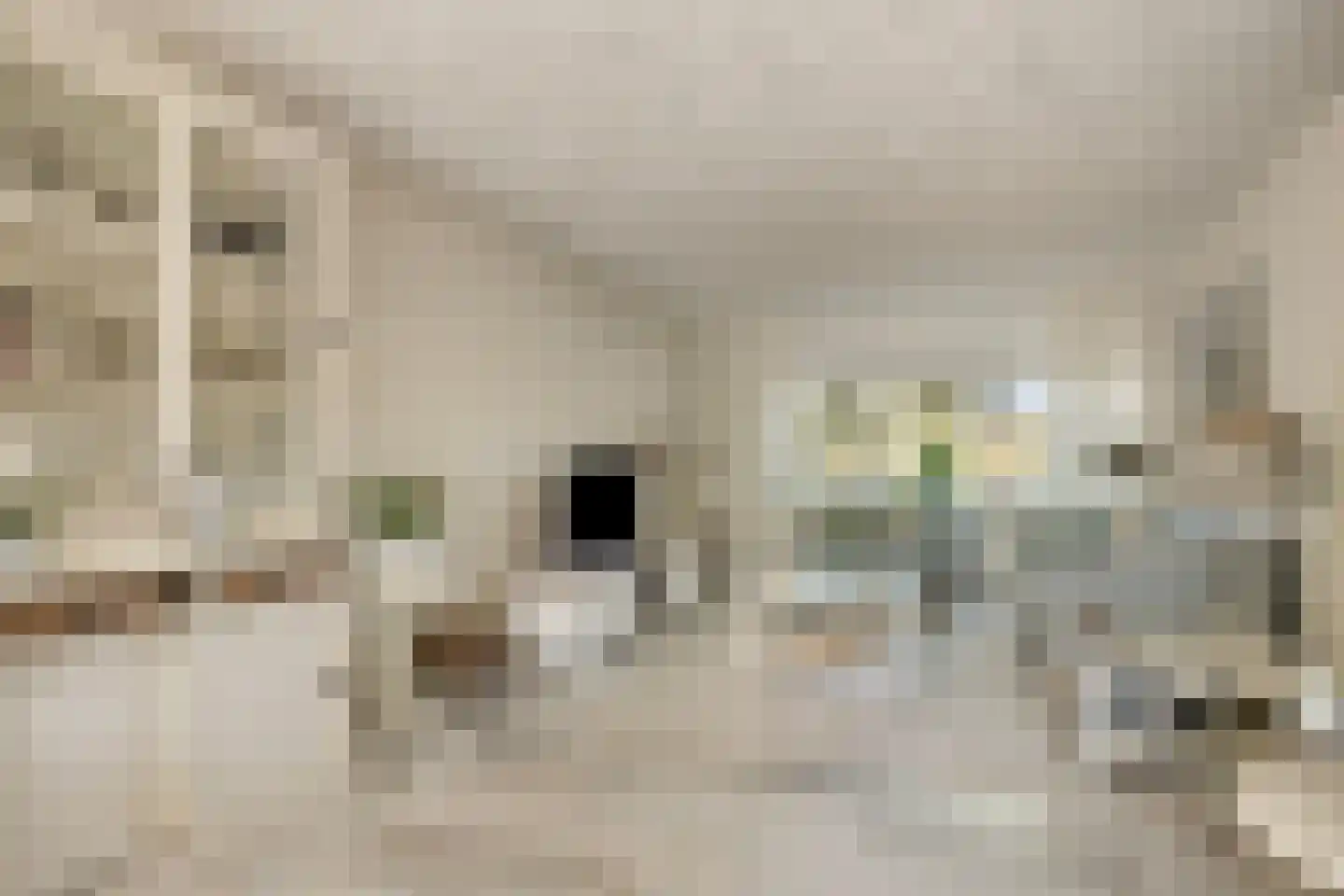 Florazoom 22 Zoetermeer thumbnail 6