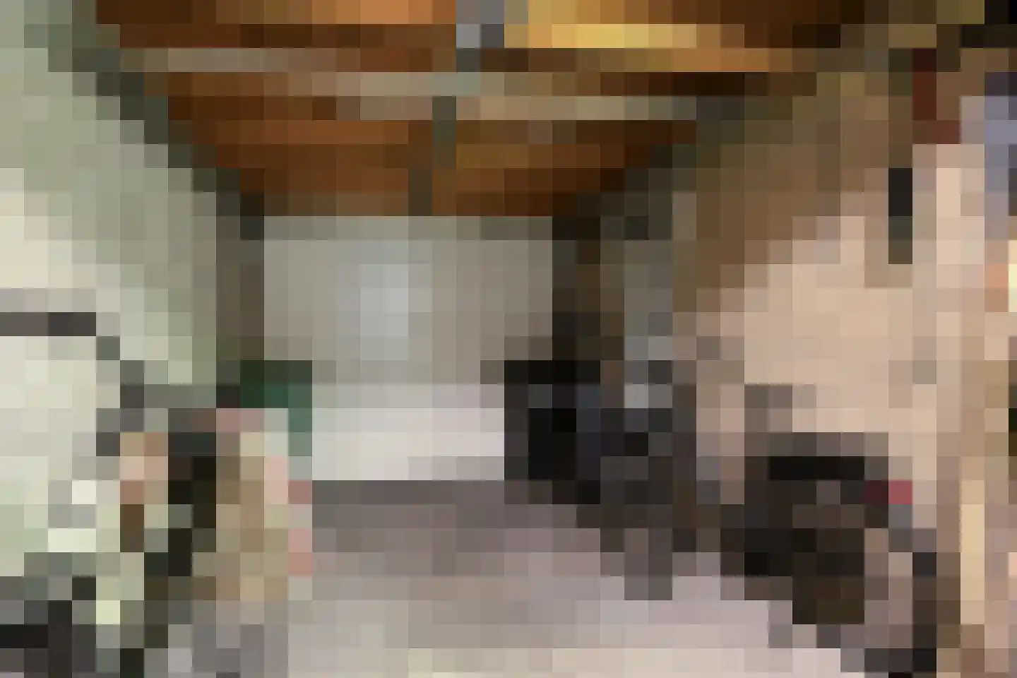 Florazoom 22 Zoetermeer thumbnail 60