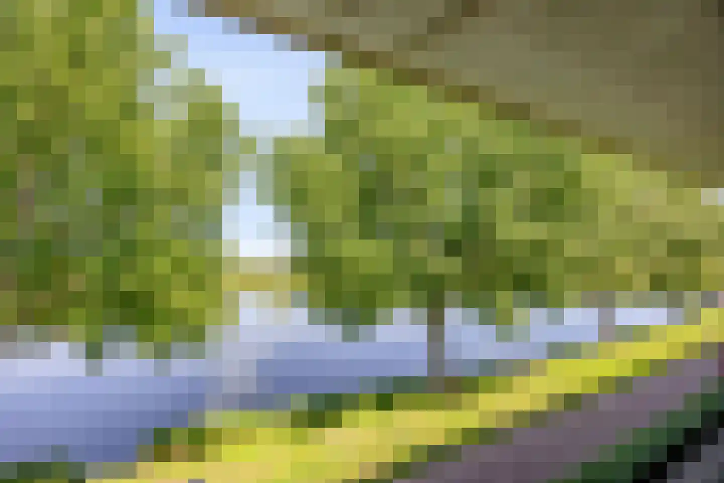 Florazoom 22 Zoetermeer thumbnail 61
