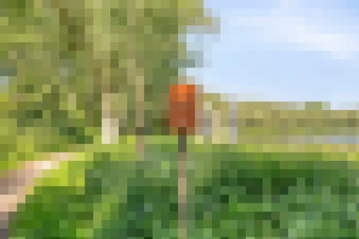 Florazoom 22 Zoetermeer thumbnail 62