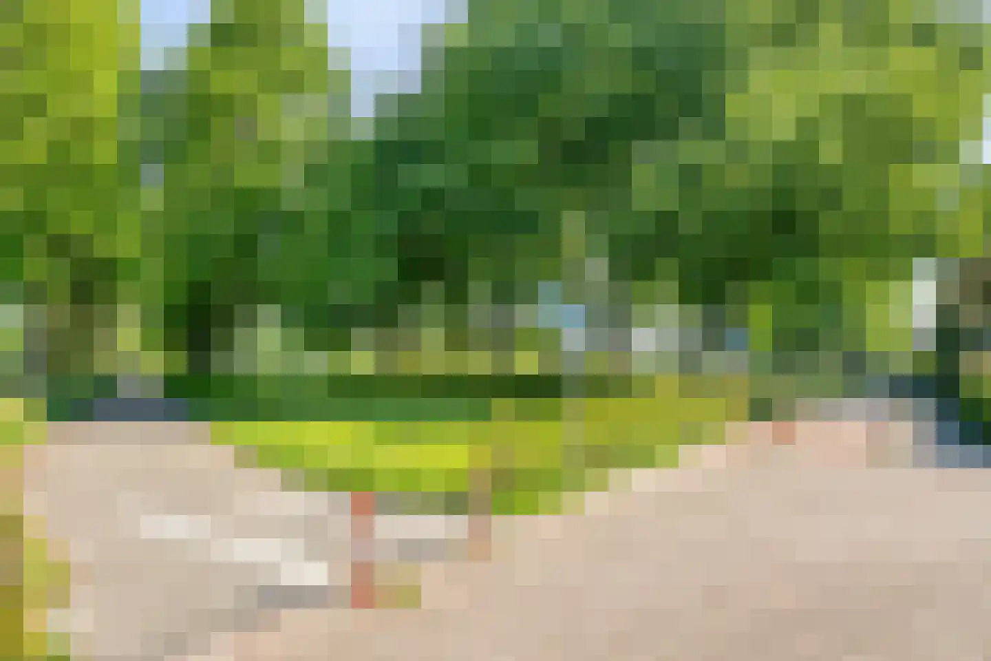 Florazoom 22 Zoetermeer thumbnail 63