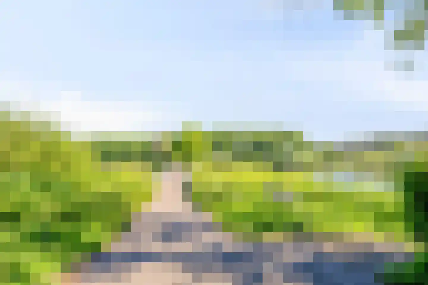 Florazoom 22 Zoetermeer thumbnail 64