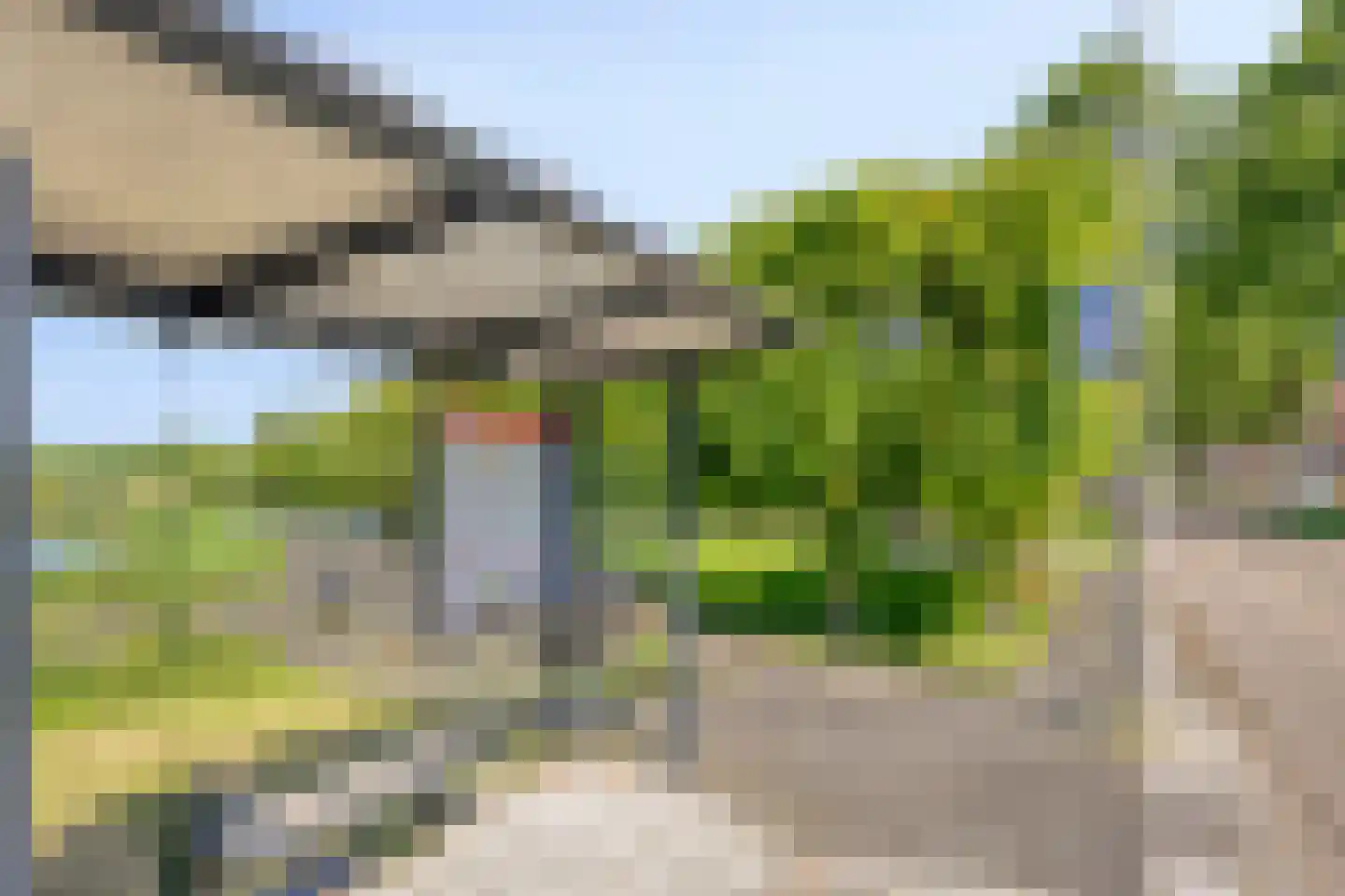 Florazoom 22 Zoetermeer thumbnail 65