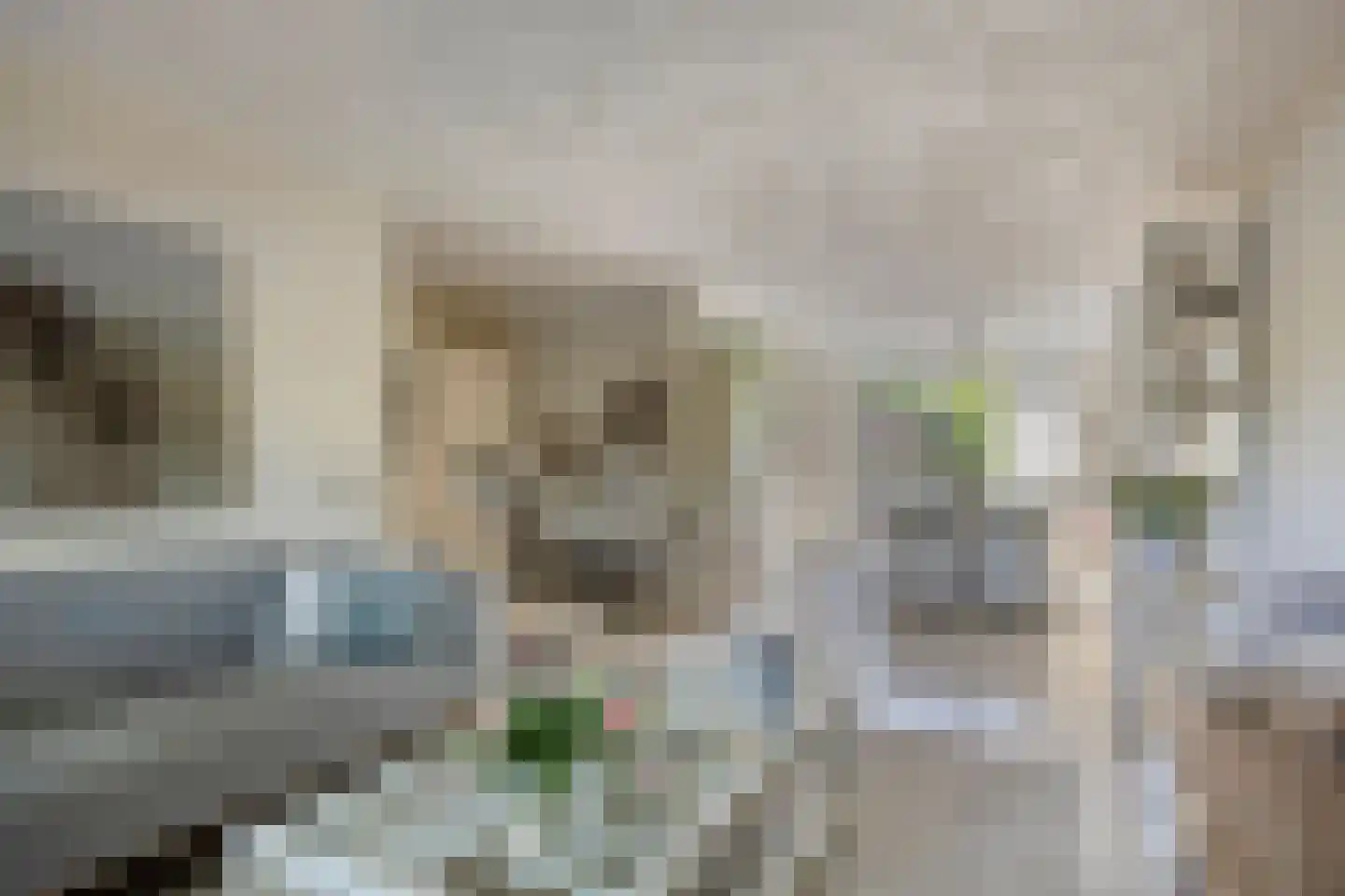 Florazoom 22 Zoetermeer thumbnail 7