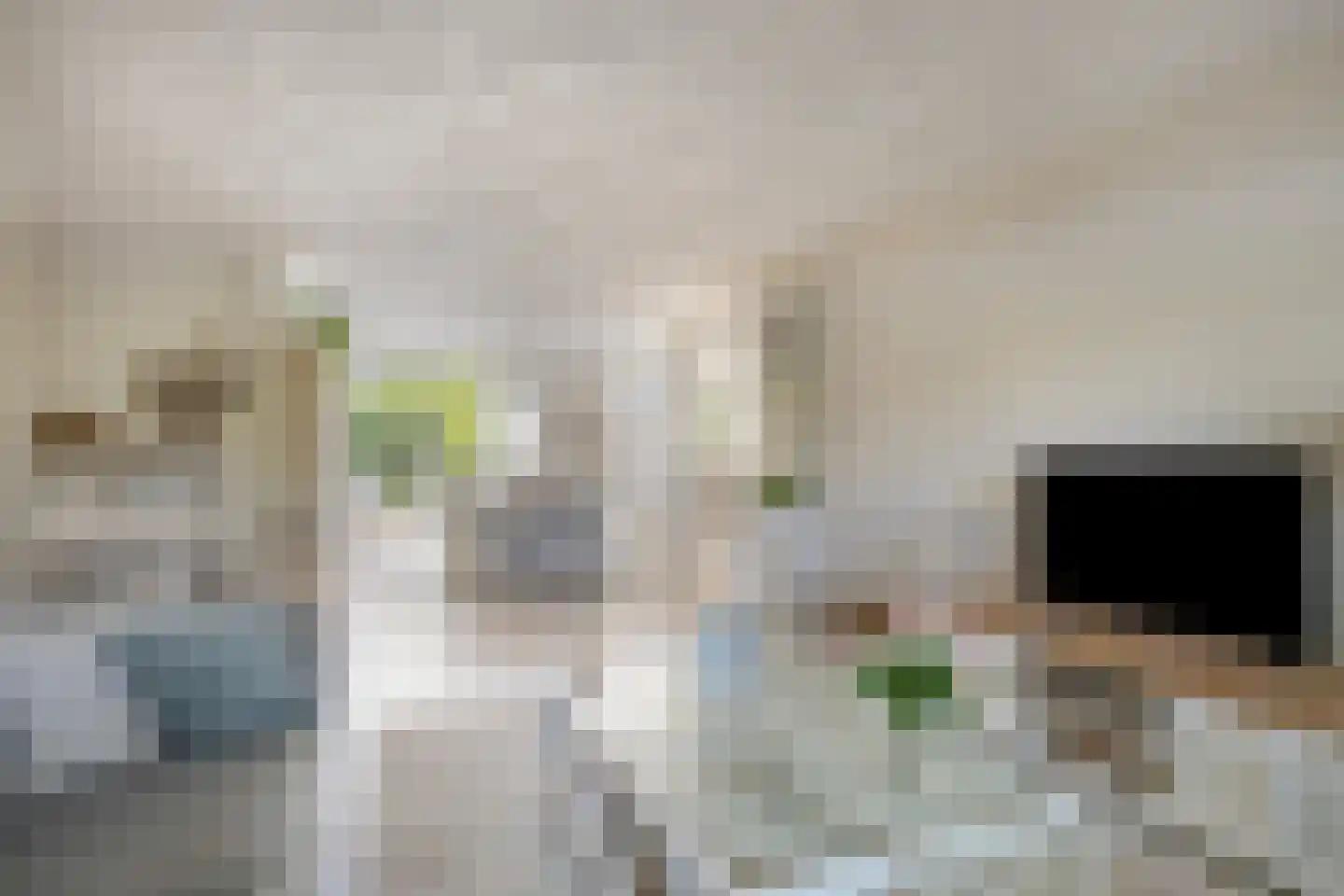 Florazoom 22 Zoetermeer thumbnail 8