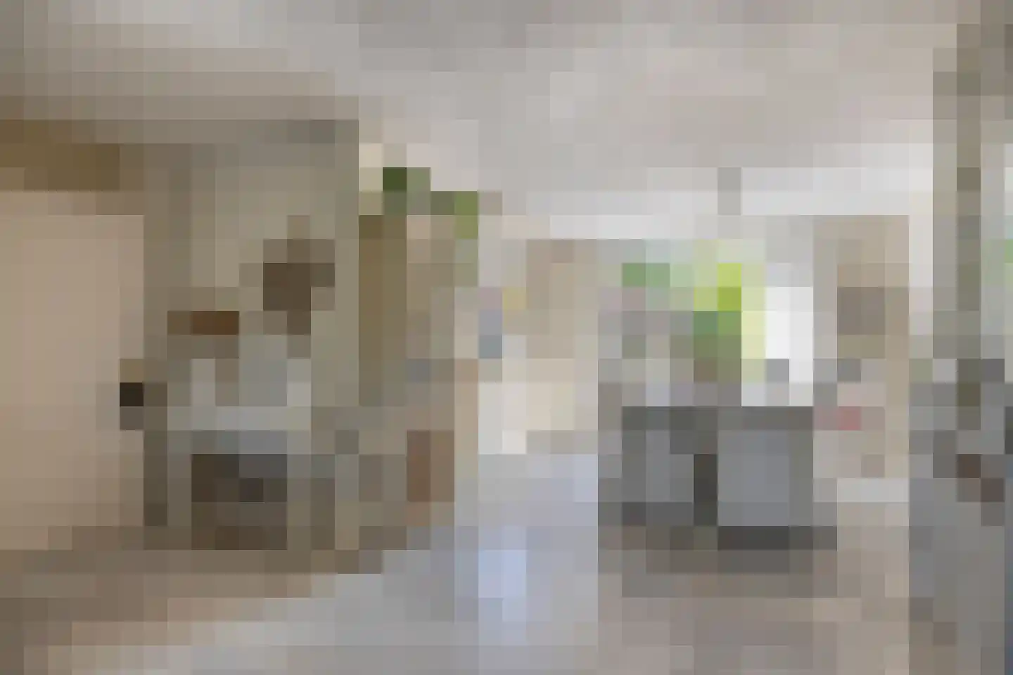 Florazoom 22 Zoetermeer thumbnail 9
