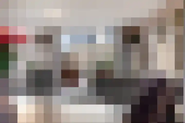 Florazoom 55 Zoetermeer thumbnail 11