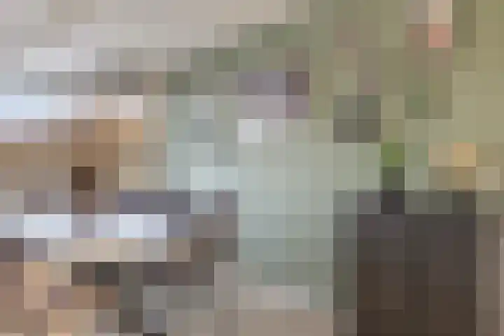 Florazoom 55 Zoetermeer thumbnail 16