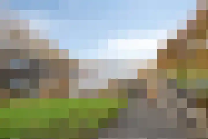 Florazoom 55 Zoetermeer thumbnail 17