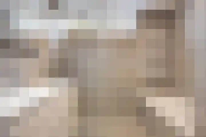Florazoom 55 Zoetermeer thumbnail 24