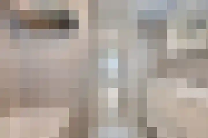 Florazoom 55 Zoetermeer thumbnail 25