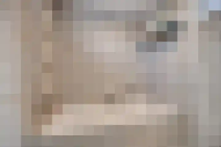 Florazoom 55 Zoetermeer thumbnail 26