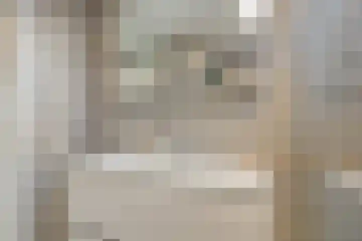 Florazoom 55 Zoetermeer thumbnail 27