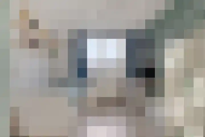 Florazoom 55 Zoetermeer thumbnail 28