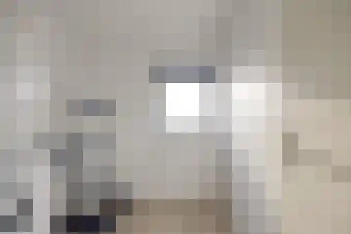 Florazoom 55 Zoetermeer thumbnail 32