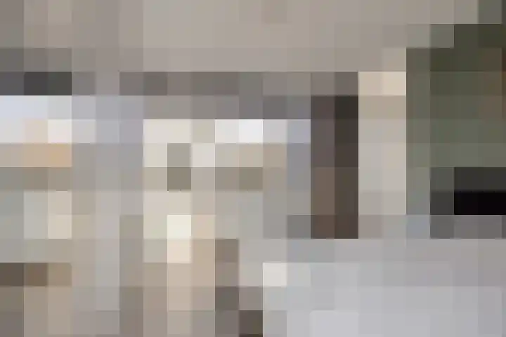 Florazoom 55 Zoetermeer thumbnail 33