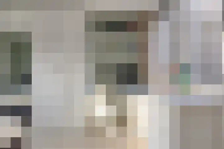 Florazoom 55 Zoetermeer thumbnail 35