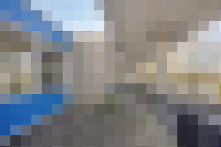 Florazoom 55 Zoetermeer thumbnail 36