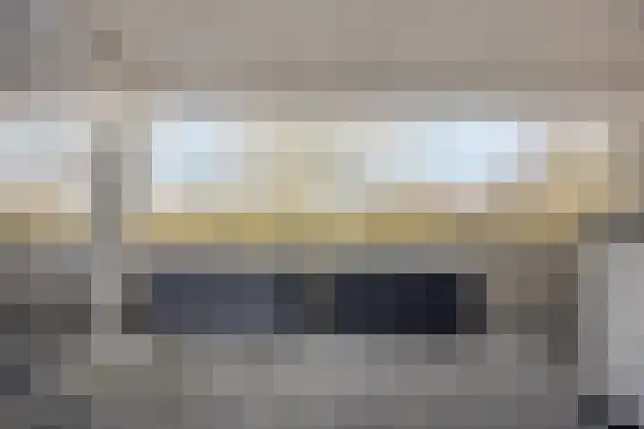Florazoom 55 Zoetermeer thumbnail 37