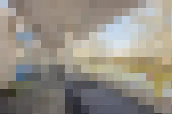 Florazoom 55 Zoetermeer thumbnail 38