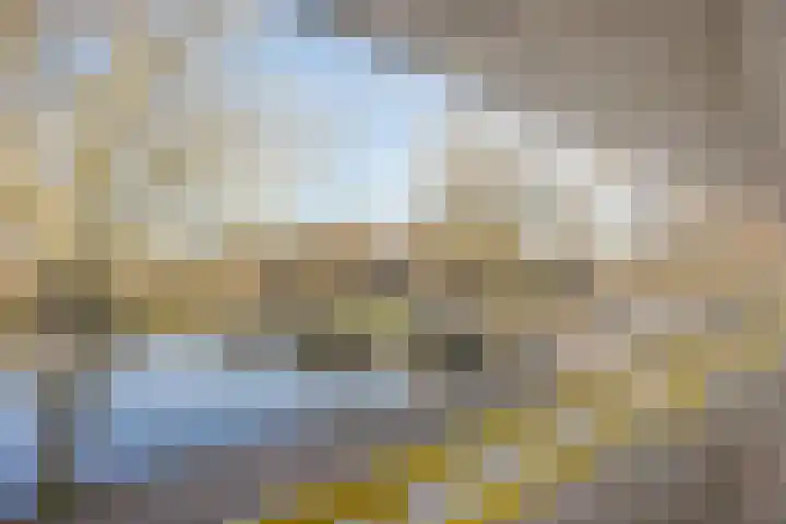 Florazoom 55 Zoetermeer thumbnail 39