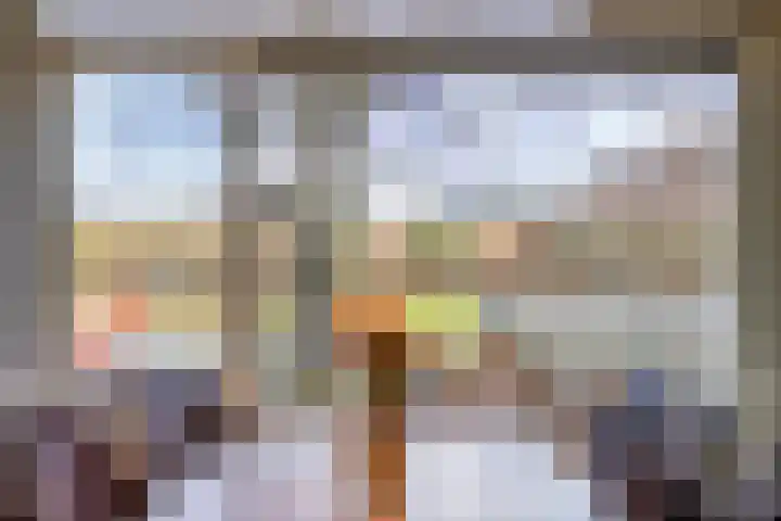 Florazoom 55 Zoetermeer thumbnail 4
