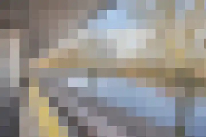 Florazoom 55 Zoetermeer thumbnail 40