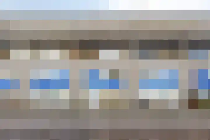 Florazoom 55 Zoetermeer thumbnail 41