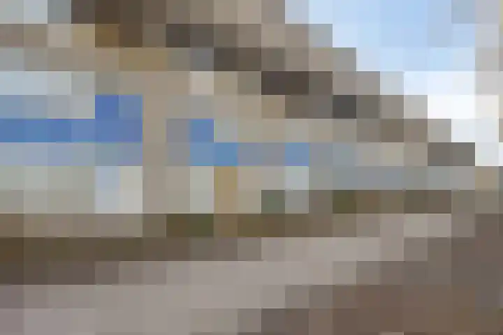 Florazoom 55 Zoetermeer thumbnail 42