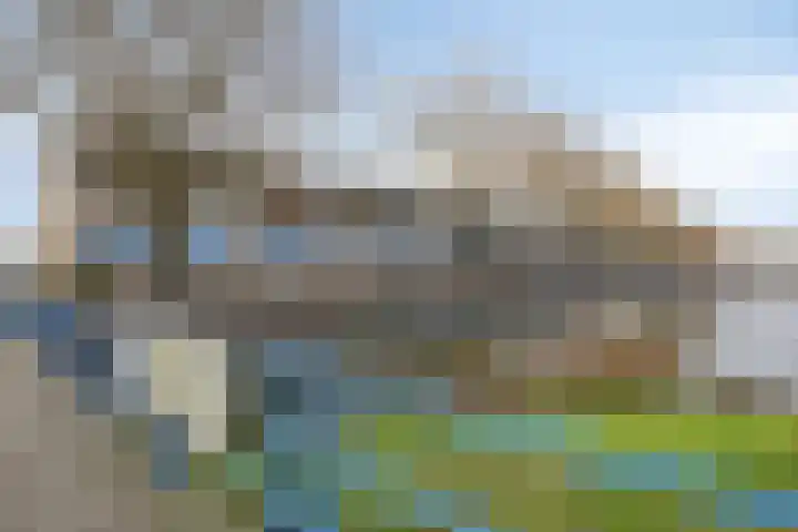 Florazoom 55 Zoetermeer thumbnail 43