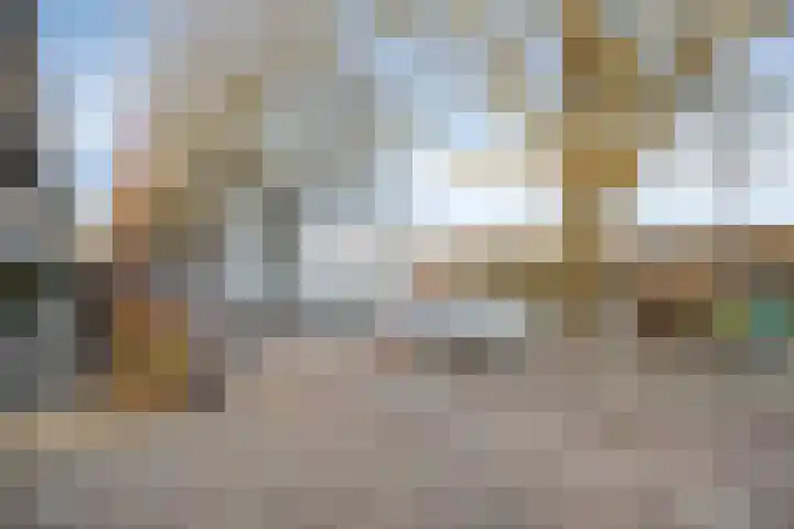 Florazoom 55 Zoetermeer thumbnail 44