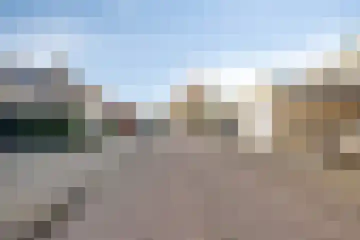 Florazoom 55 Zoetermeer thumbnail 45
