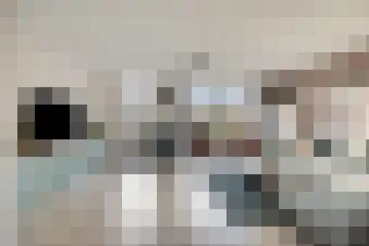 Florazoom 55 Zoetermeer thumbnail 5