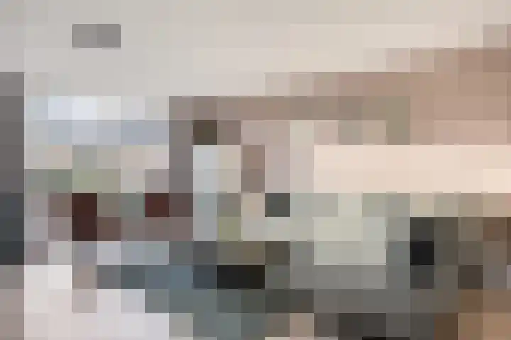 Florazoom 55 Zoetermeer thumbnail 6