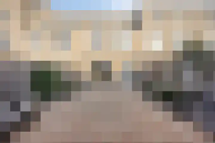 Florazoom 55 Zoetermeer thumbnail 7