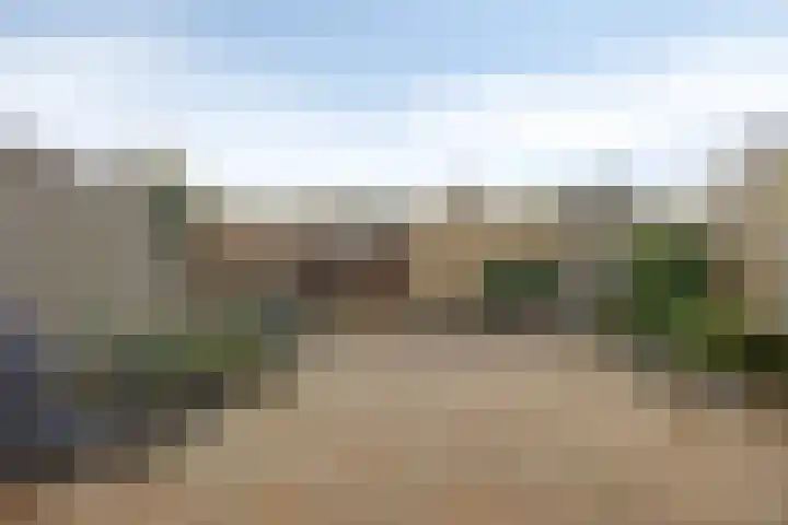 Florazoom 55 Zoetermeer thumbnail 8