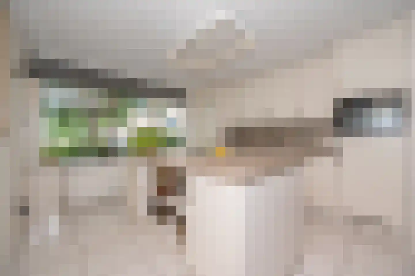 Florazoom 58 Zoetermeer thumbnail 10