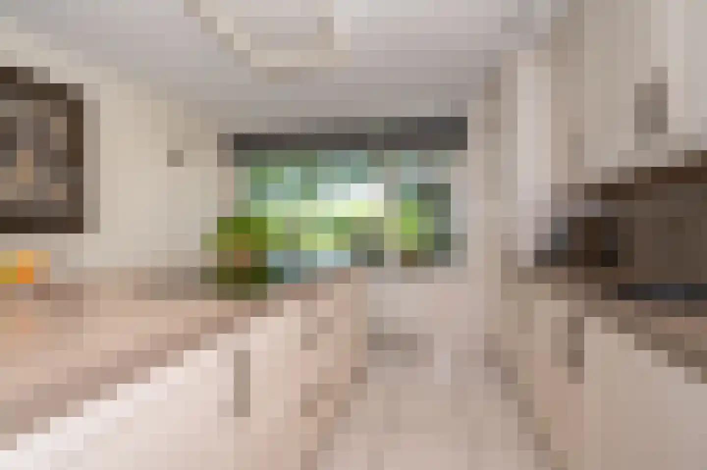 Florazoom 58 Zoetermeer thumbnail 11