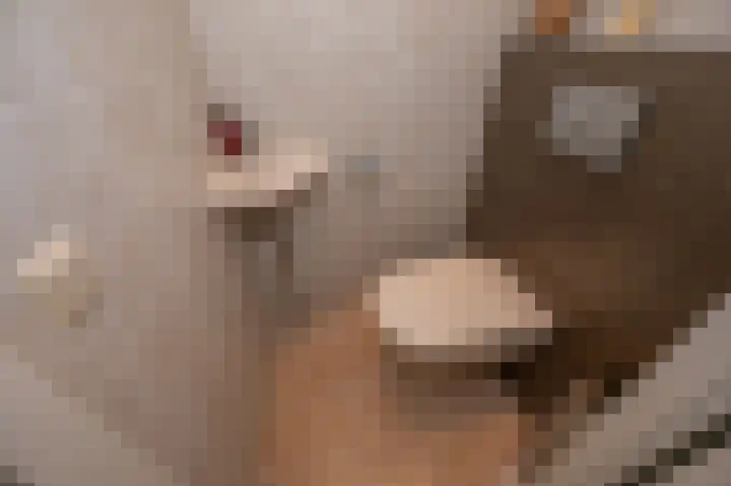 Florazoom 58 Zoetermeer thumbnail 13