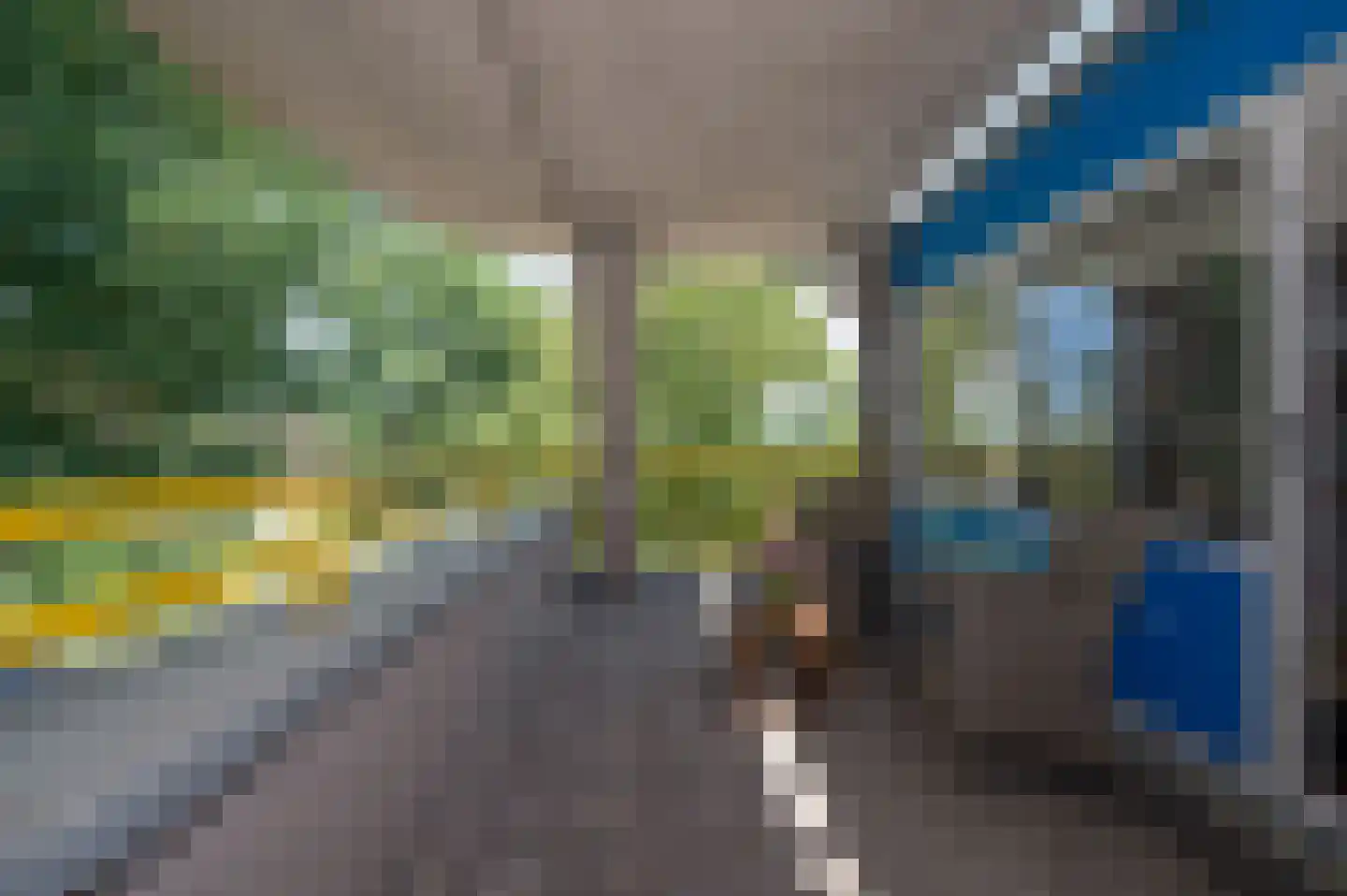 Florazoom 58 Zoetermeer thumbnail 27