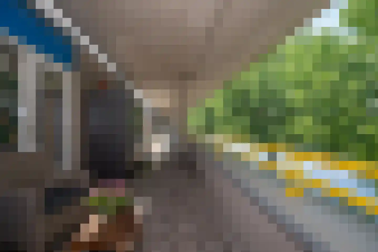 Florazoom 58 Zoetermeer thumbnail 28
