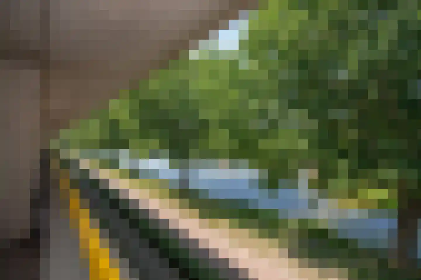 Florazoom 58 Zoetermeer thumbnail 29