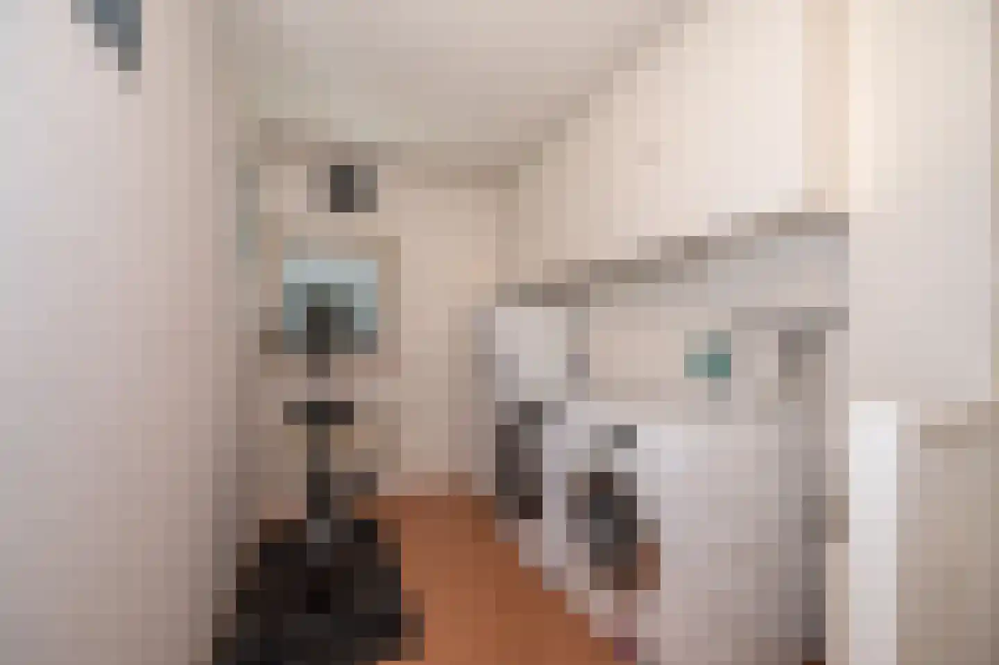 Florazoom 58 Zoetermeer thumbnail 30