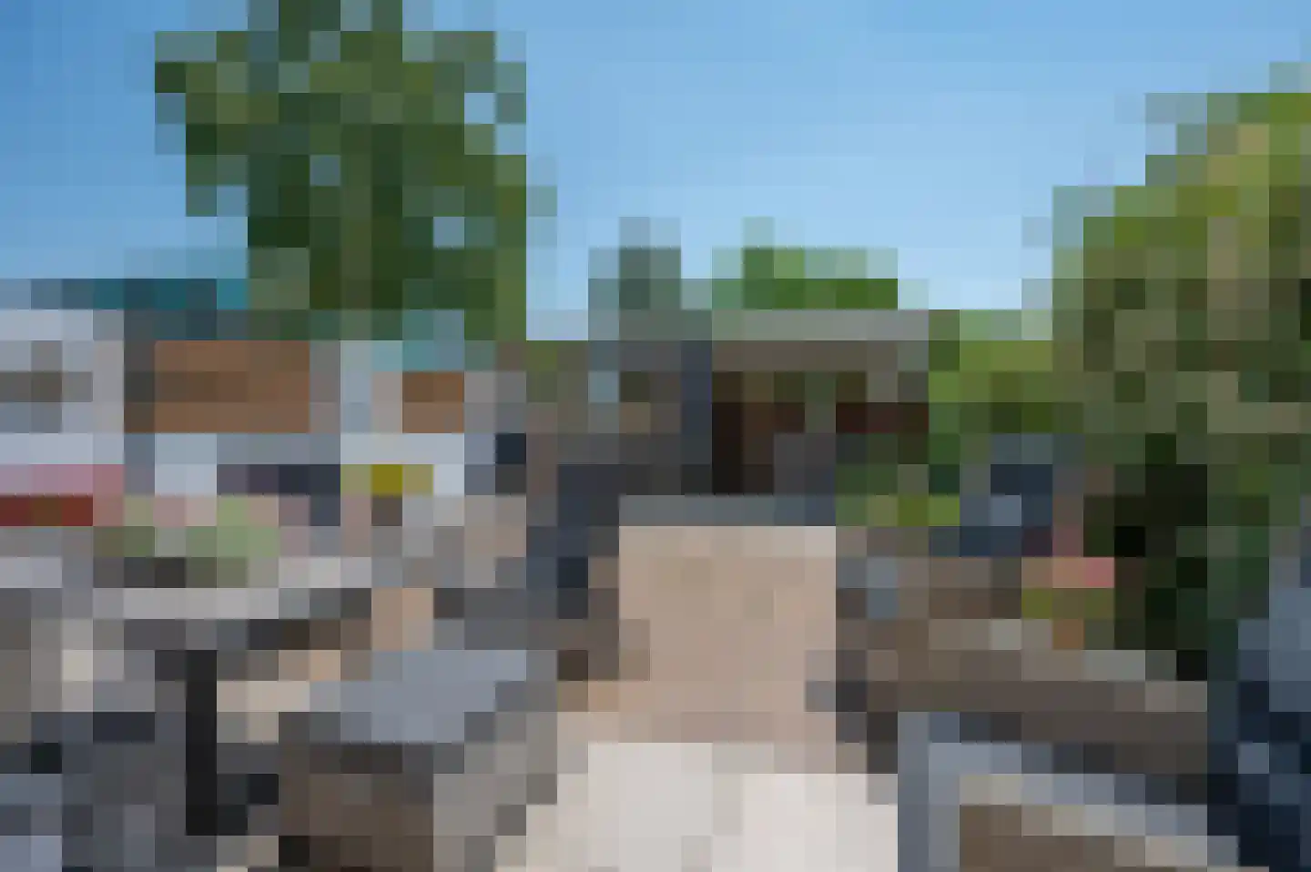 Florazoom 58 Zoetermeer thumbnail 34