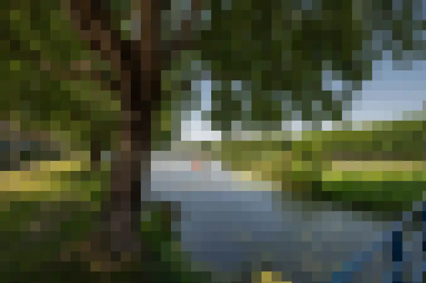 Florazoom 58 Zoetermeer thumbnail 37